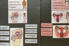 6. Klasse
