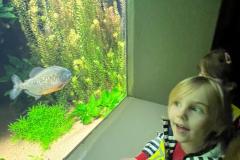 WhatsApp-Image-2024-09-24-at-18.26.47