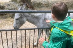 WhatsApp-Image-2024-09-24-at-18.26.51