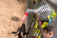 WhatsApp-Image-2024-09-24-at-18.26.52-2