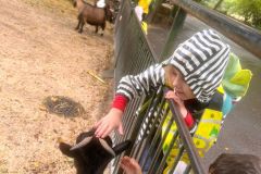 WhatsApp-Image-2024-09-24-at-18.26.52