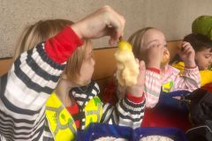 WhatsApp-Image-2024-09-24-at-18.26.55