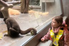 WhatsApp-Image-2024-09-24-at-18.26.57